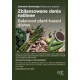 Plakat A1 Zbilansowane dania roślinne EN