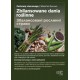 Plakat A1 Zbilansowane dania roślinne UA
