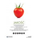 Plakat B1 Jakość pomidor
